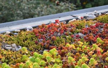 the cost of Piddlehinton green roof installation