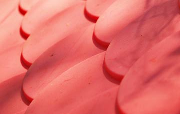 Piddlehinton plastic roof costs