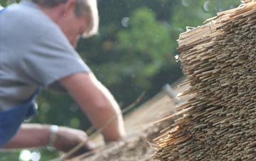 professional Piddlehinton thatchers